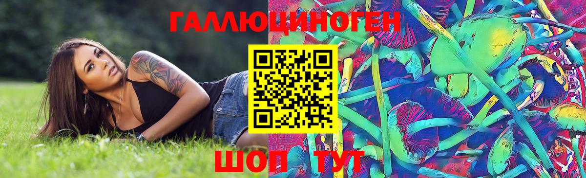 Псилоцибиновые грибы мухоморы Великие Луки